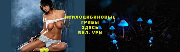 марки nbome Вяземский