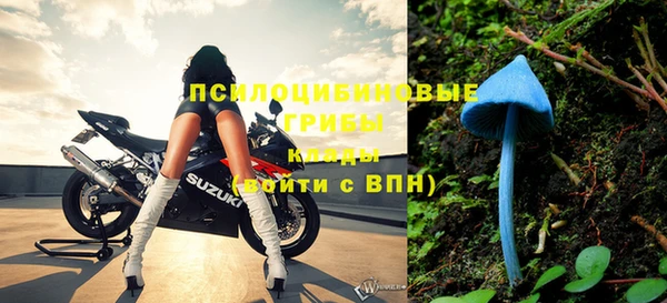 марки nbome Вяземский