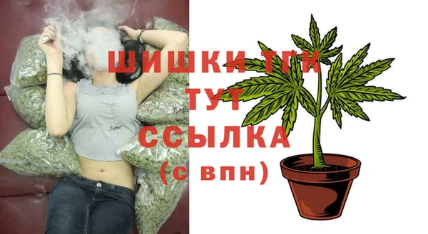 марки nbome Вяземский