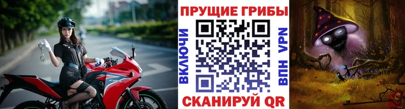 где найти   Ковров  гидра онион  Псилоцибиновые грибы мухоморы 